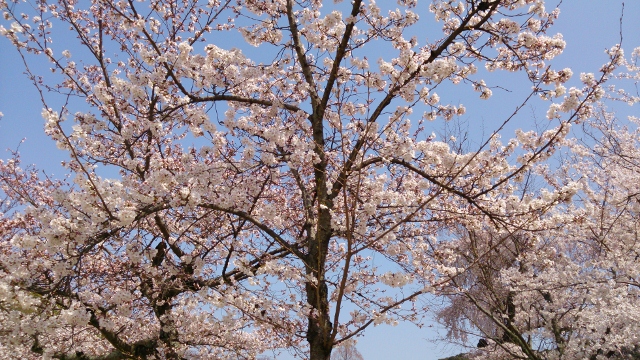 DSC_0327_640x360