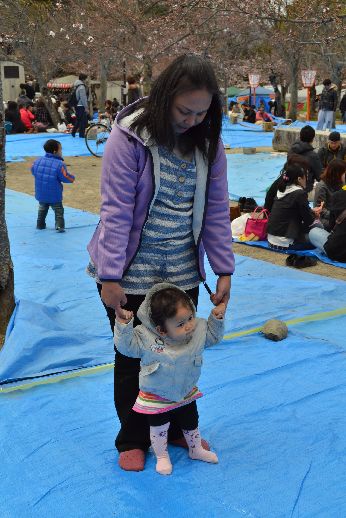 hanami_20110403_002
