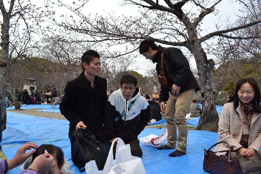 hanami_20110403_009