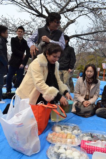hanami_20110403_010