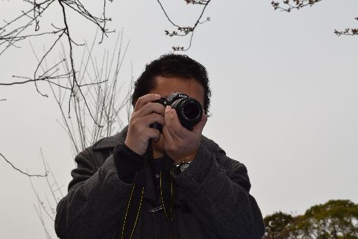 hanami_20110403_011