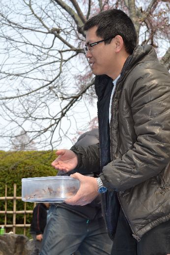 hanami_20110403_016
