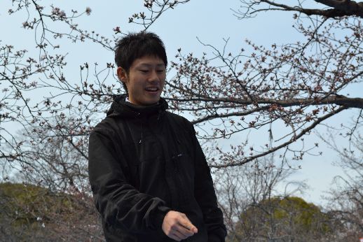hanami_20110403_021