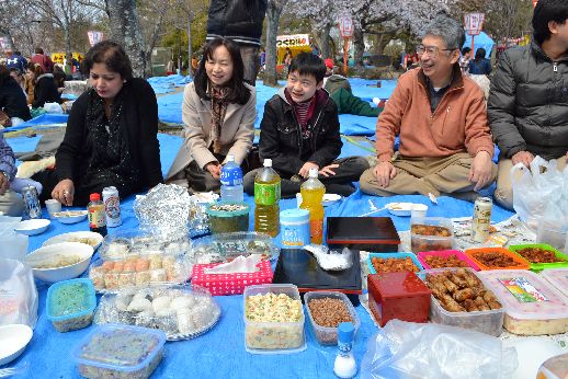 hanami_20110403_024