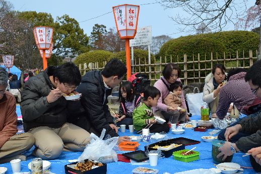 hanami_20110403_026