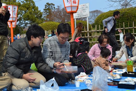 hanami_20110403_027