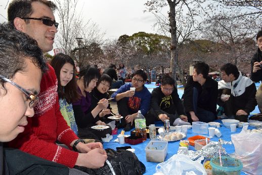 hanami_20110403_031