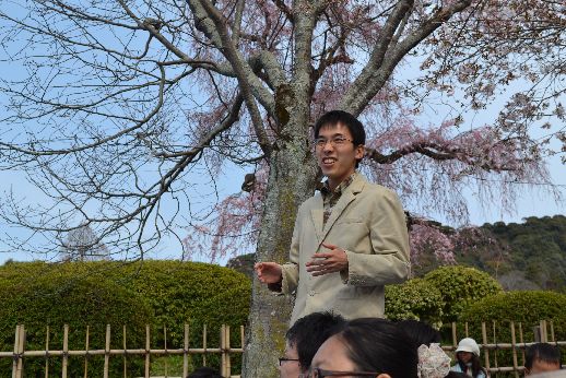 hanami_20110403_032