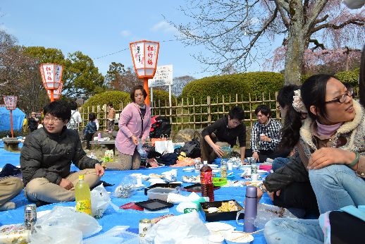 hanami_20110403_033