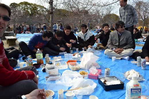 hanami_20110403_034