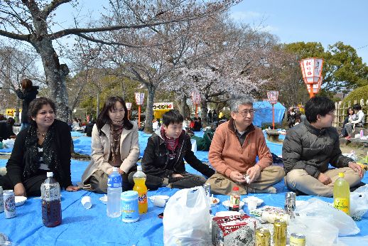 hanami_20110403_035