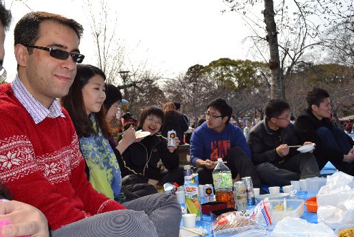 hanami_20110403_045