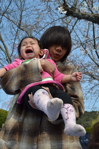 hanami_20110403_047