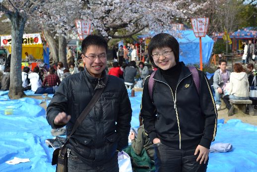 hanami_20110403_053