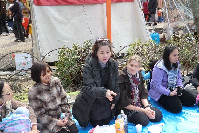 hanami_20110403_1009