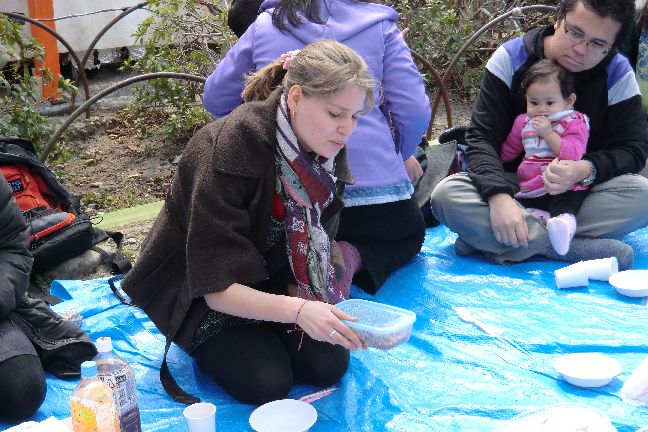 hanami_20110403_1010