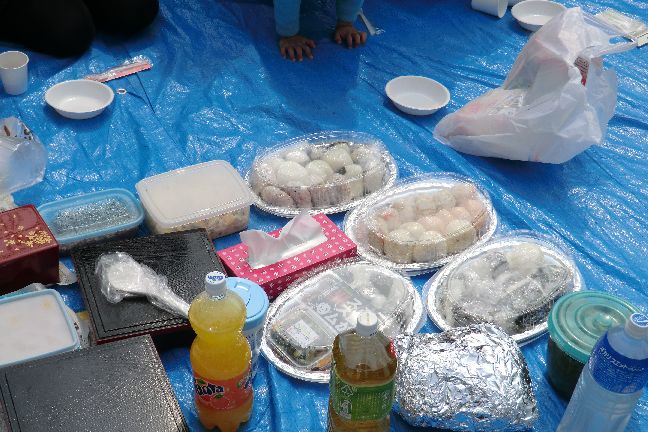 hanami_20110403_1016