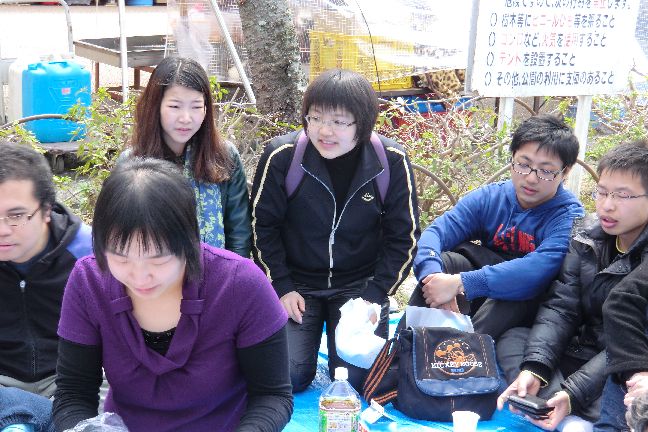 hanami_20110403_1041