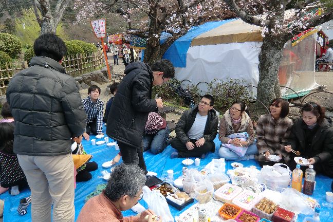 hanami_20110403_1043