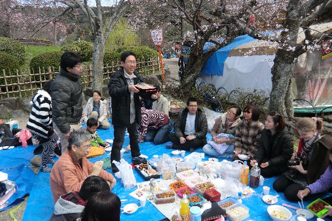 hanami_20110403_1045