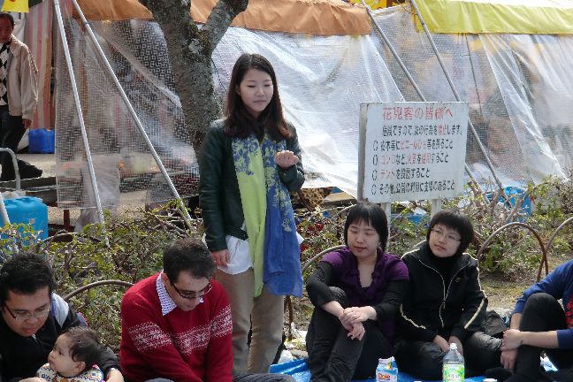 hanami_20110403_1066