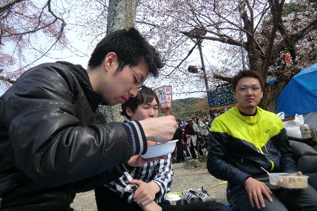 hanami_20110403_1074