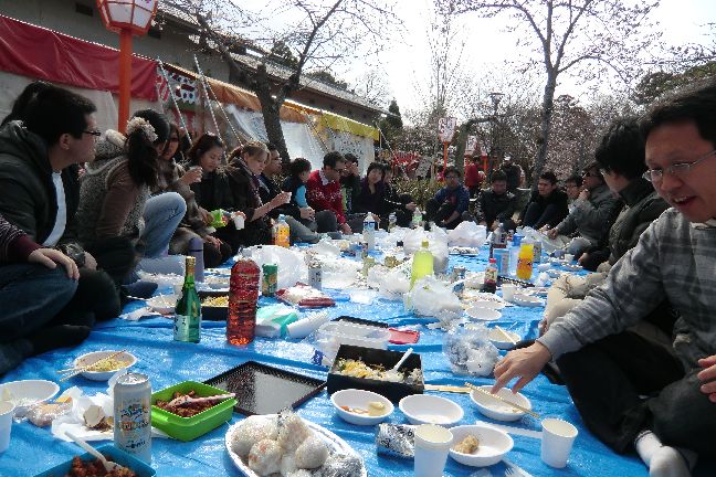 hanami_20110403_1076