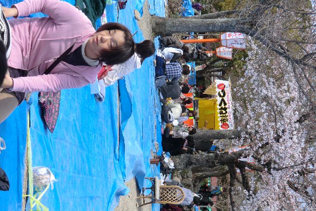 hanami_20110403_1092