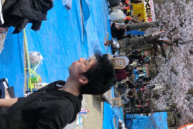 hanami_20110403_1093