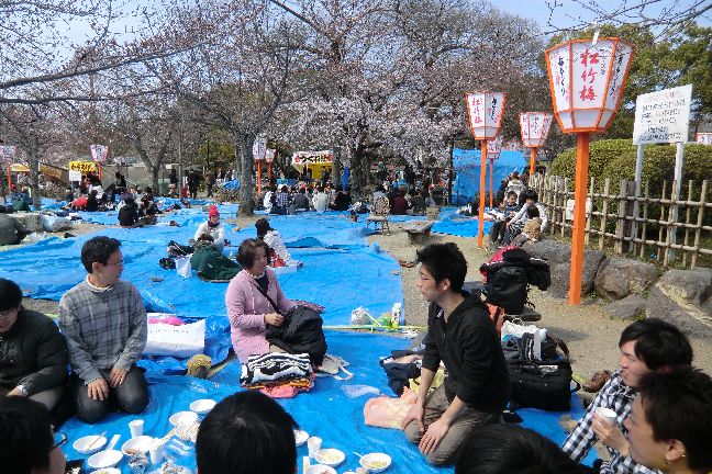 hanami_20110403_1094
