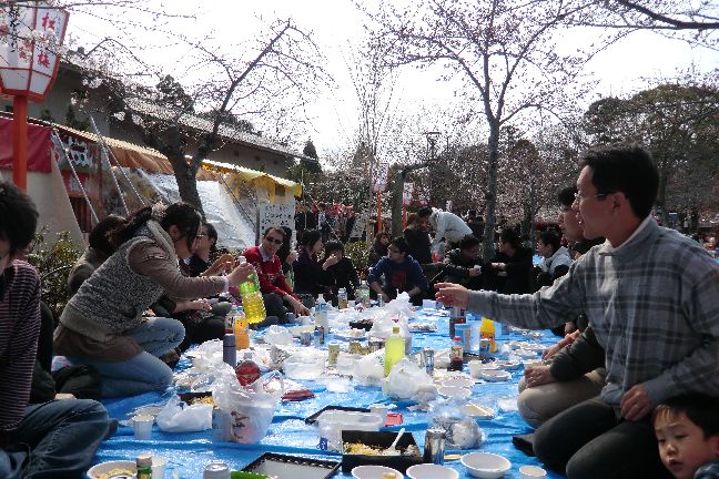 hanami_20110403_1103