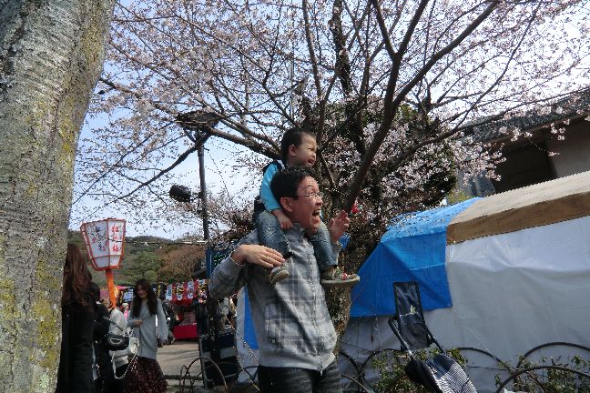 hanami_20110403_1105