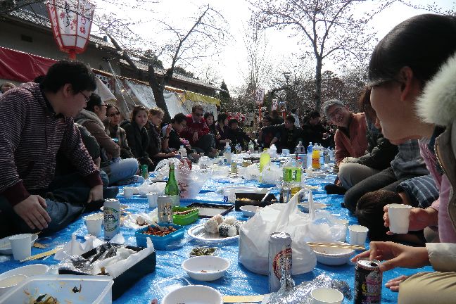 hanami_20110403_1107