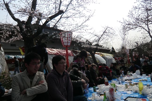 hanami_20110403_1108