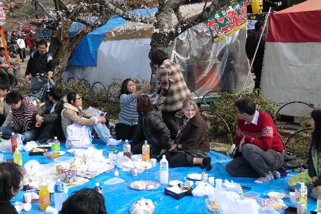 hanami_20110403_1111