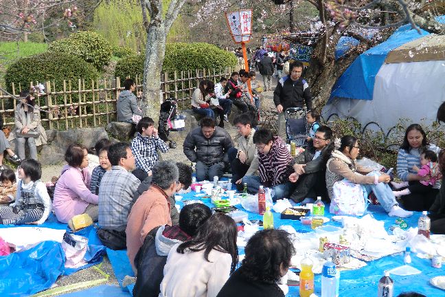 hanami_20110403_1112